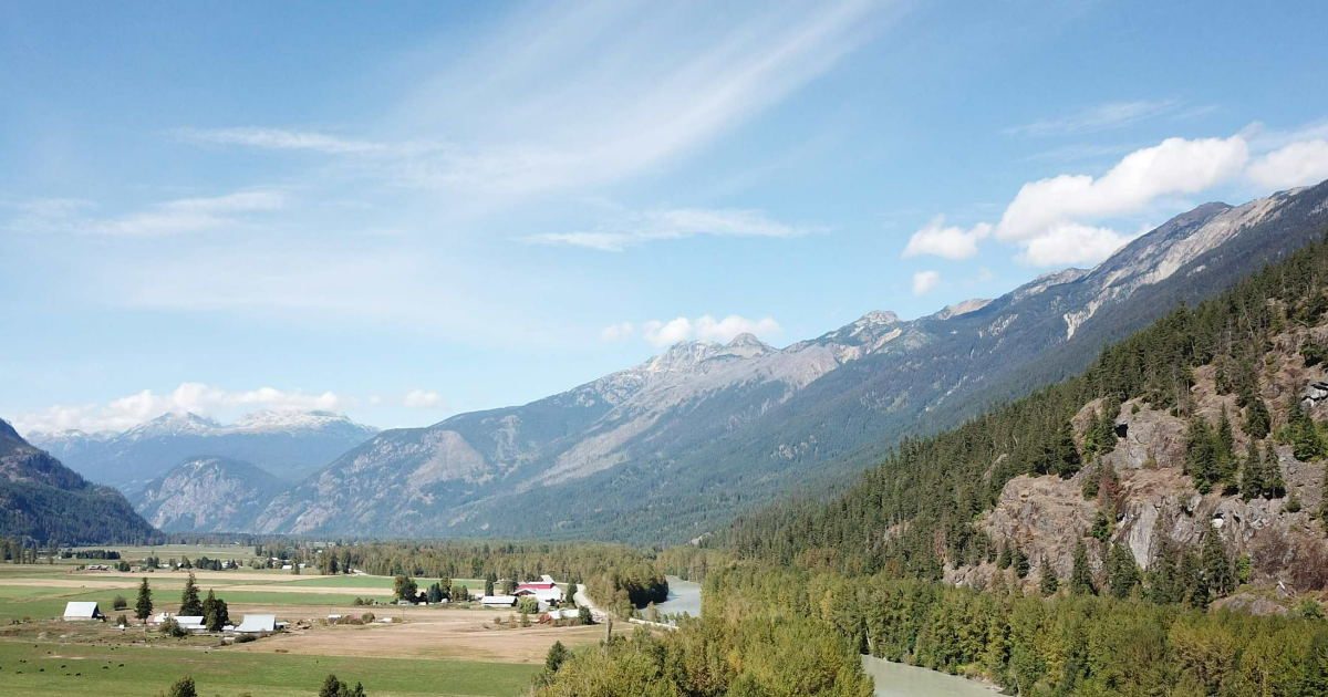 Exploring Central Meadows Real Estate: A Comprehensive Guide for Prospective Homebuyers and Investors